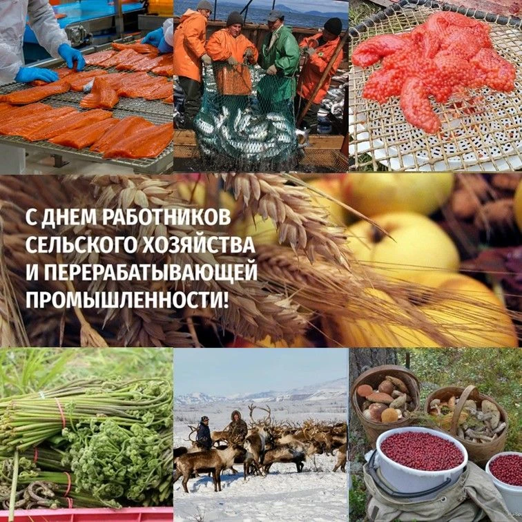 🎉 С Днём работника сельского хозяйства и перерабатывающей промышленности! 🎉