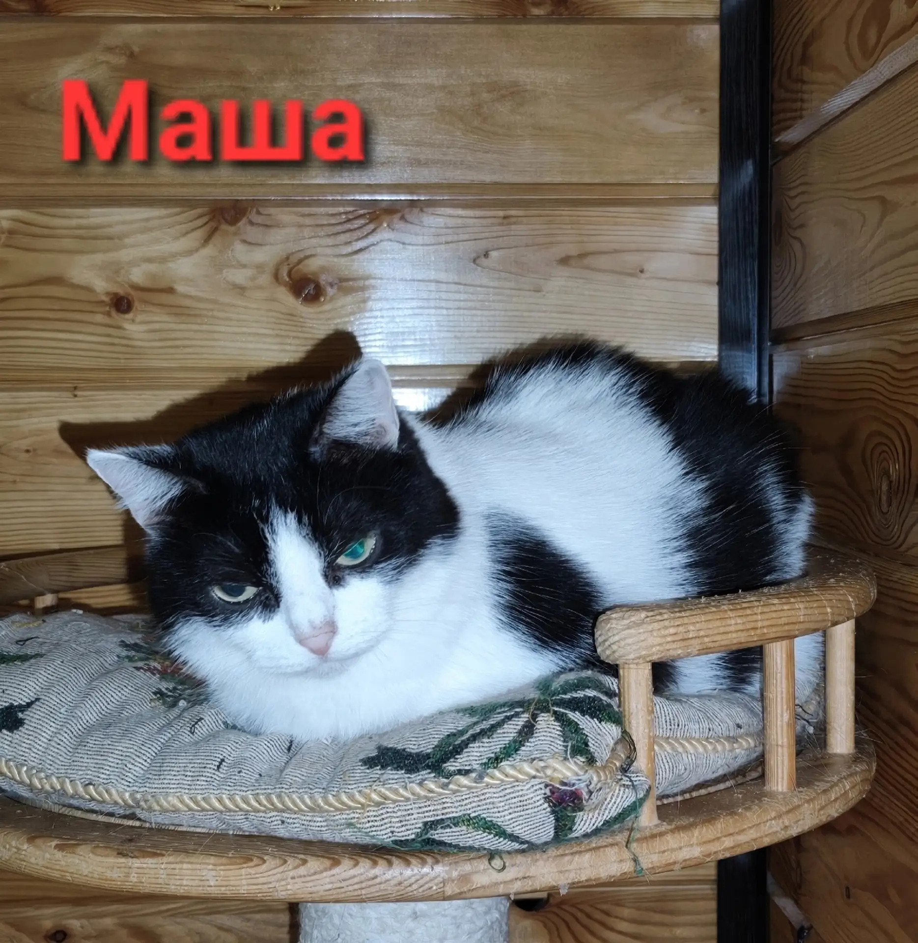 Сиротка МАША ищет новую любящую семью‼️