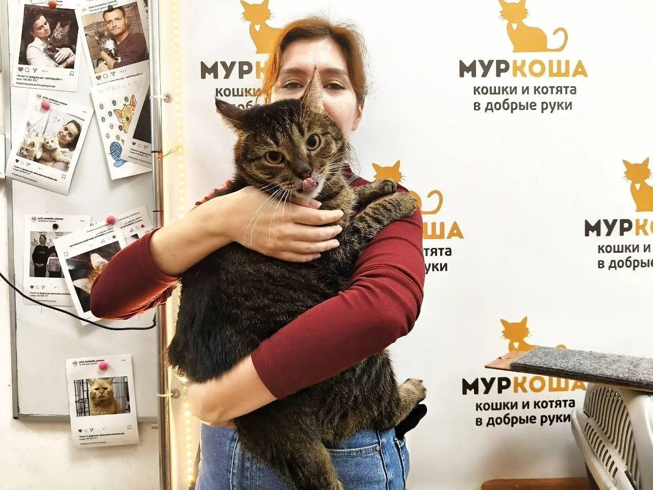 Счастливый Фрегат отправляется в плавание домой к обретённой хозяйке! 🎉 Пусть в их дом...