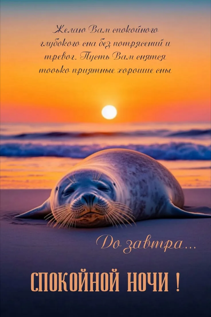https://max.ru/se13912156_biz