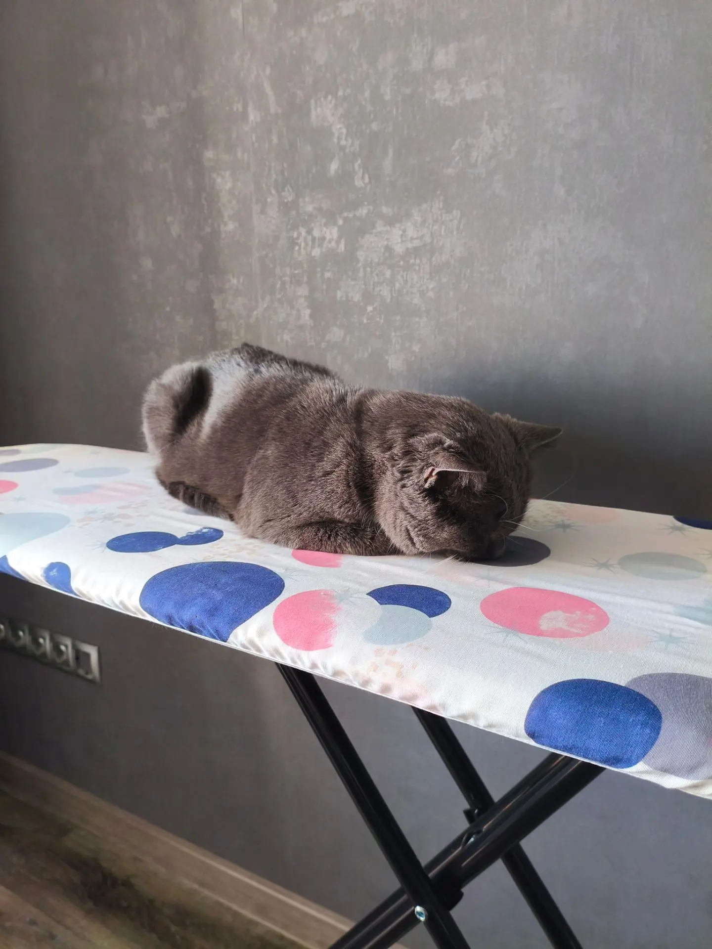 Котята, все доброго денёчка! 🔥