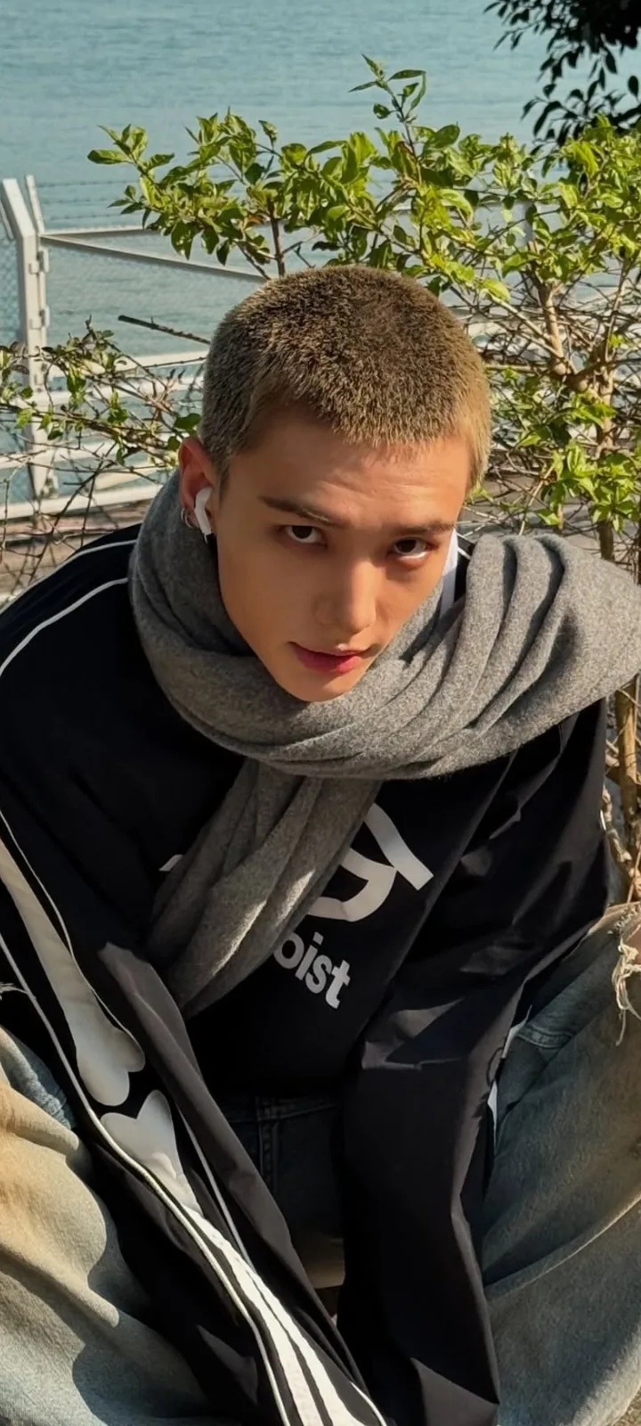 это Киви 🥝