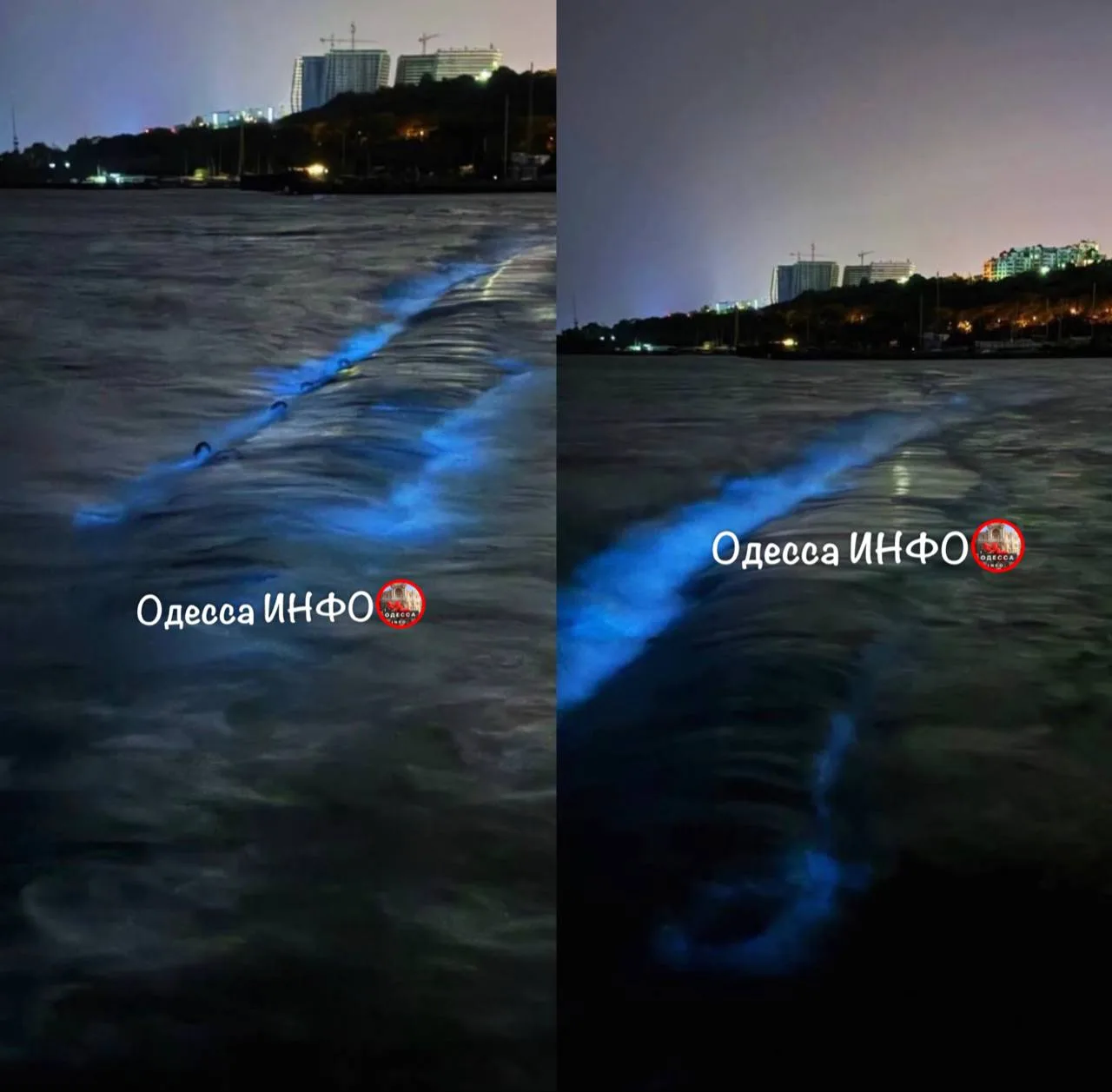 🌊 Море в Одессе засияло голубым цветом!