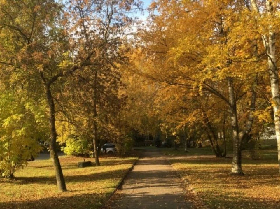 ☀️ Бабье лето возвращается! На следующей неделе Нижегородскую область ждет приятное тепло.