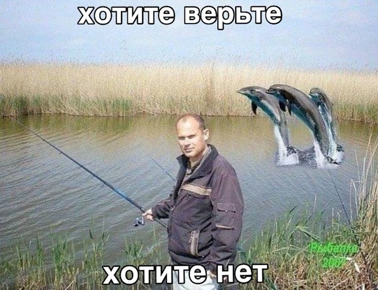 Калининградские учёные создали компьютерную игру о рыбалке.