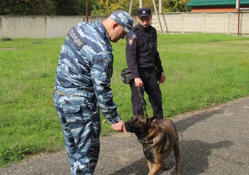 👮В Адыгее сотрудники МВД и представители общественности познакомили учащихся полицейск...