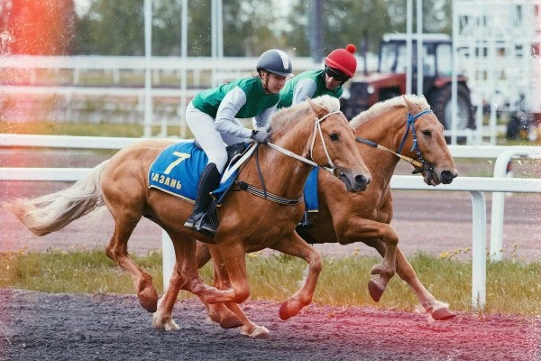 🏇 Последние скачки сезона пройдут в Казани 9 октября