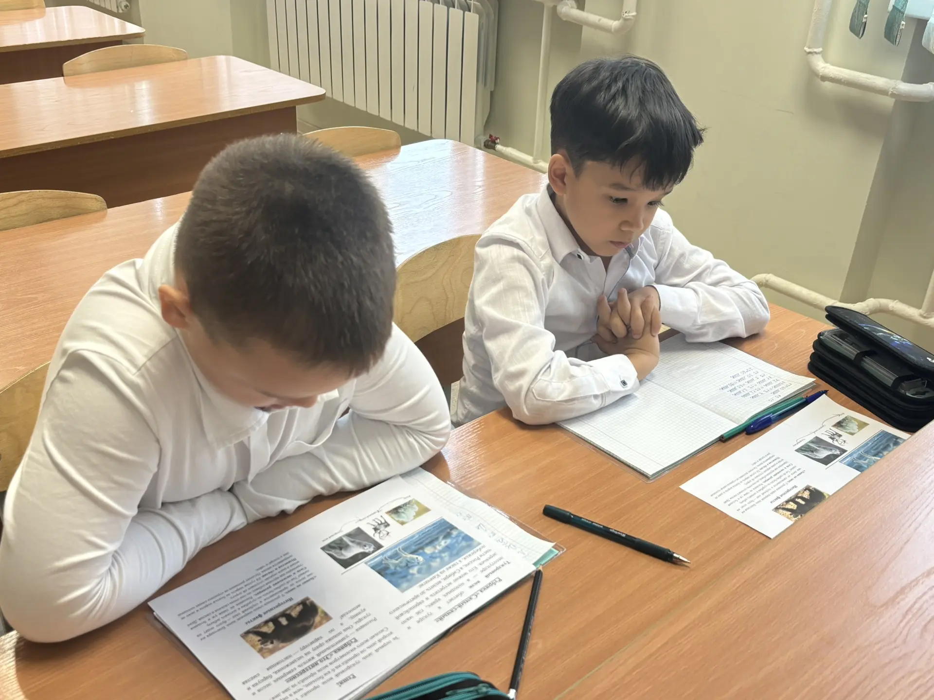 🧮 «Посчитай-ка»: шагаем по математическим тропинкам и открываем мир! 🌿🦌