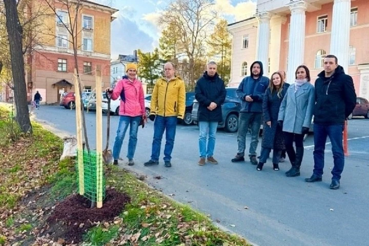 🌳 В Петрозаводске у Дома офицеров высадили новую липовую аллею