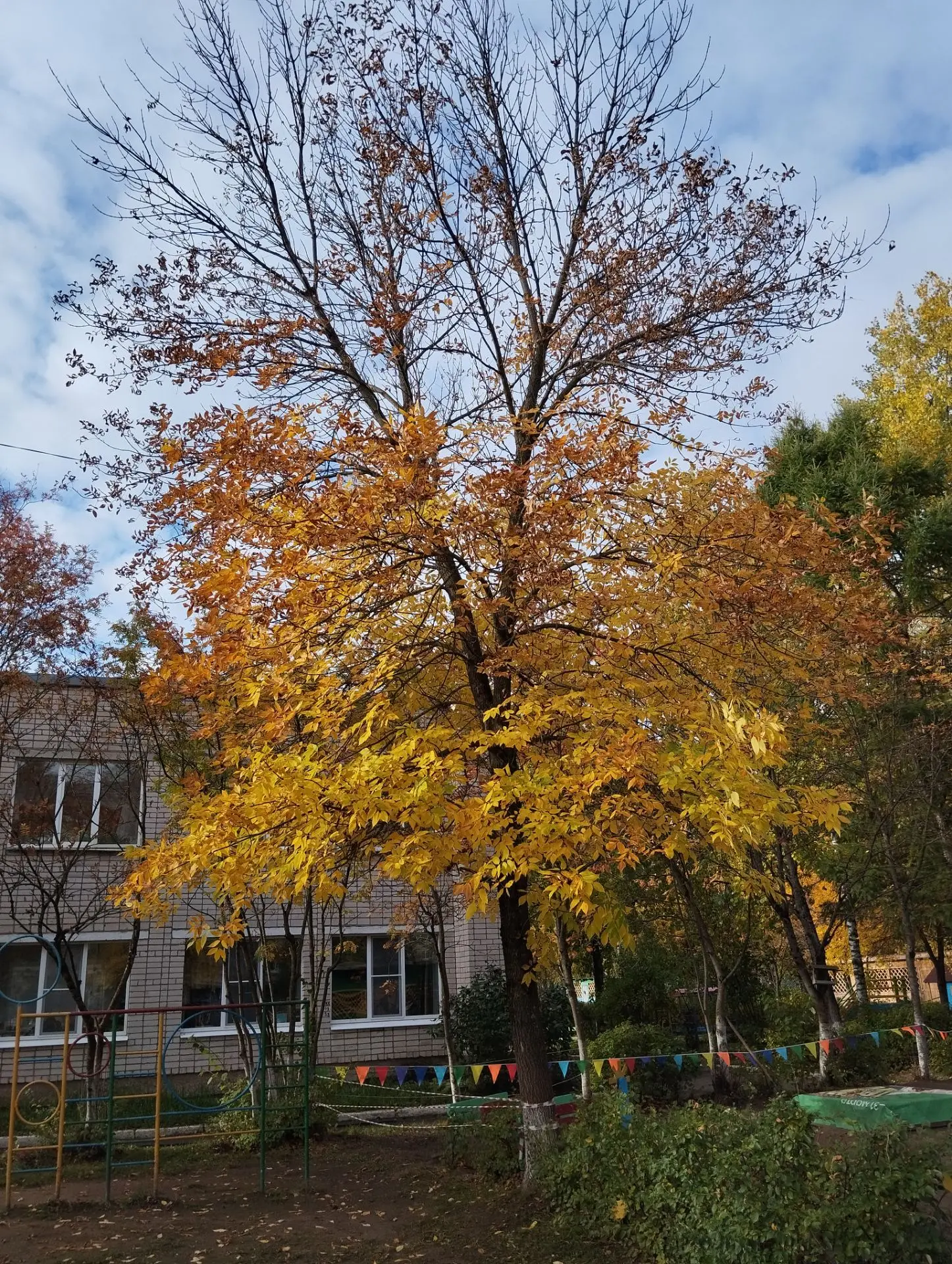 ✨✨✨🍁Вот и наступила золотая осень! 🍁🍁🍁✨
