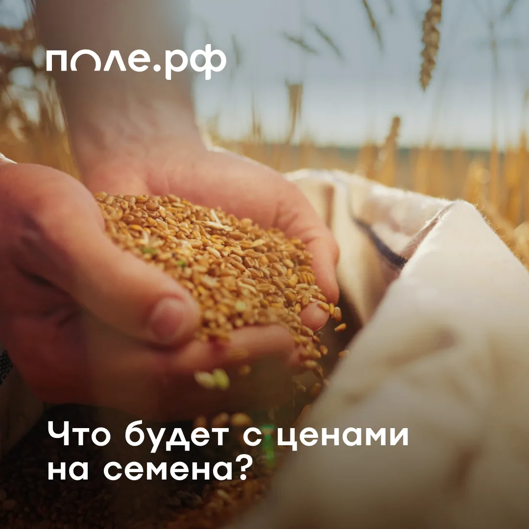 🌱 Закупка семян – одна из главных статей расходов сельхозпредприятий, которые не имеют...