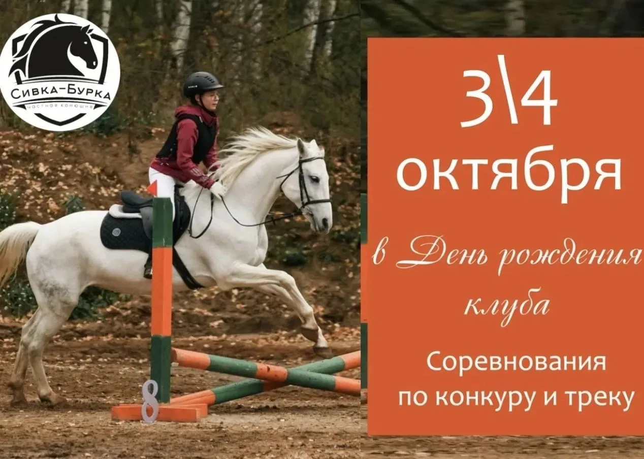 🚩Ура🥳Поздравляем ученицу 4 альфа класса:Подкину Лану за победу 🥇 🐎 в таком нелегком...