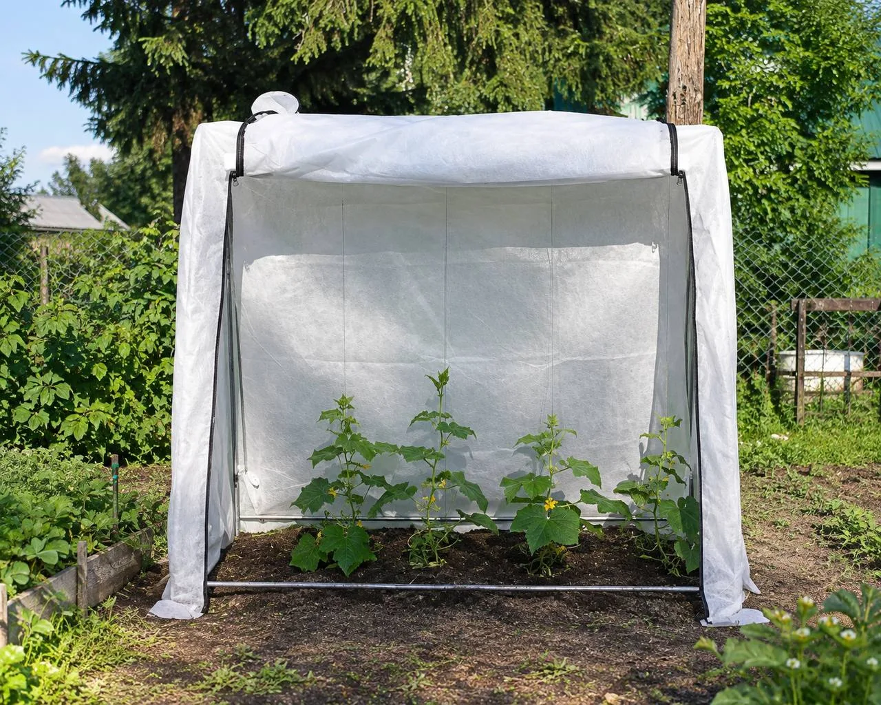 🌱 Парник, который выручает не только весной