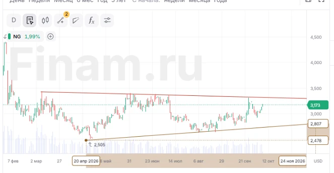 с марта 2026 все группы набирают чистый шорт  в газе и скорее всео с плечами,  поэтому ...