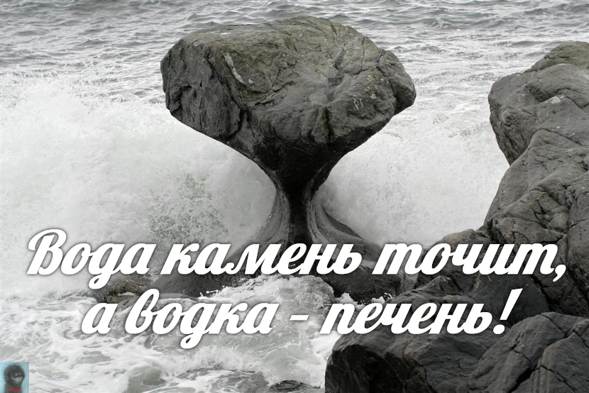 За Ежей в тумане    https://max.ru/public217562846