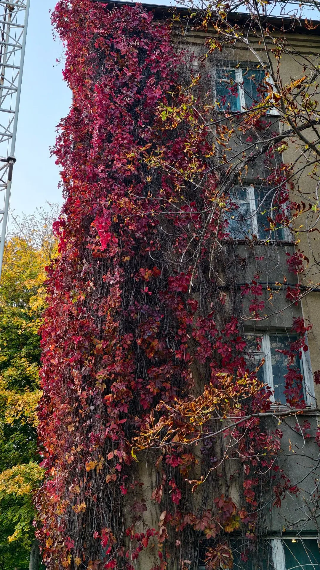Осенние краски Михайловска 🍁