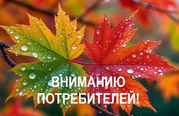 13 октября 2026 года внесены корректировки в графики плановых отключений электроэнергии.