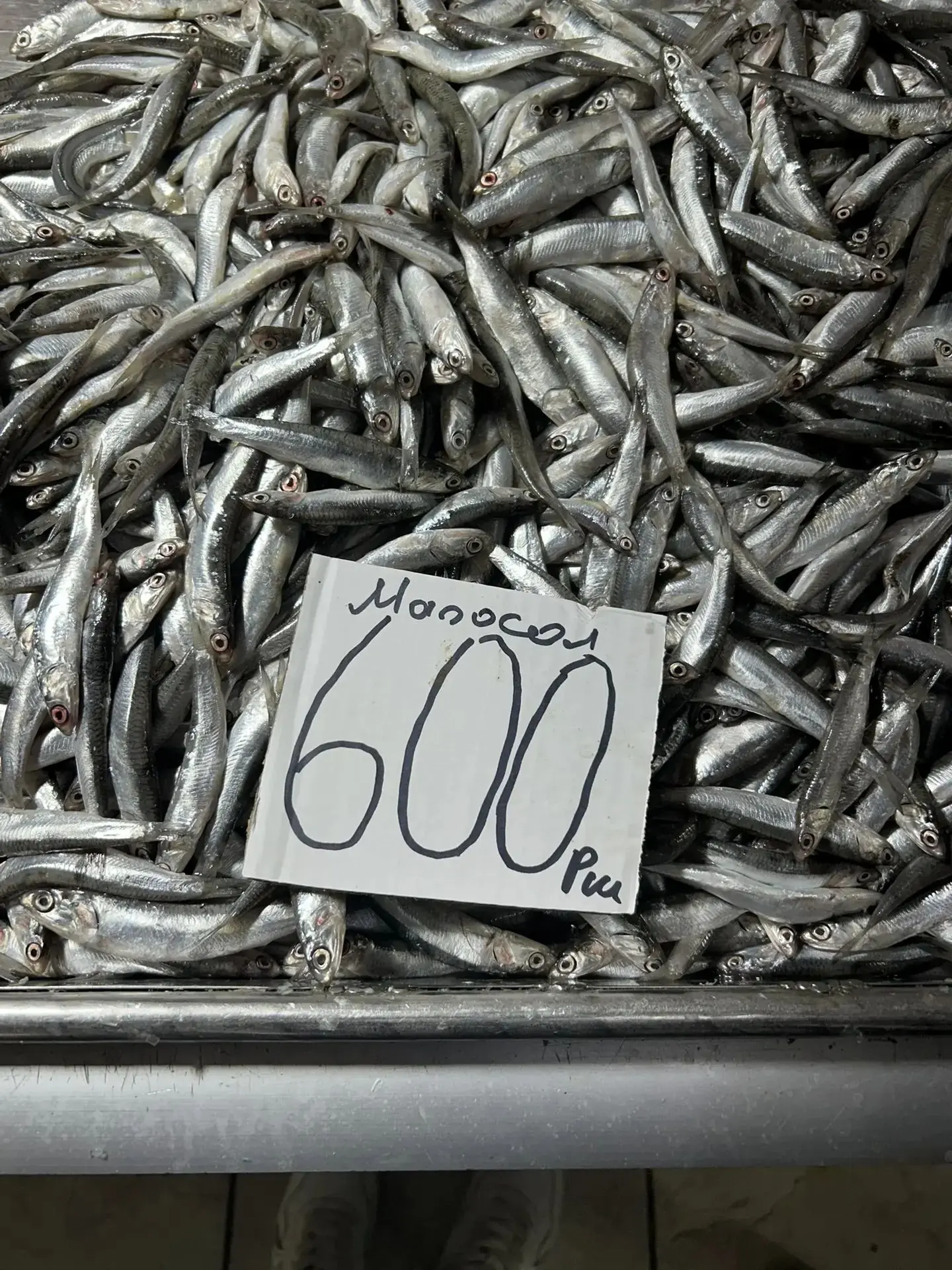 🐟💰 Почём хамса на рыбном рынке Керчи?