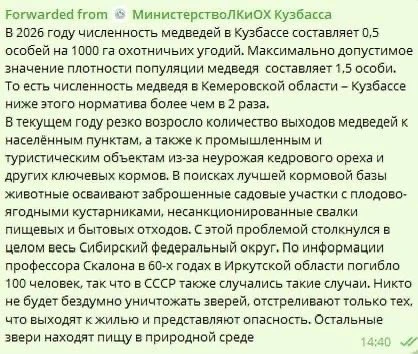 🐻 Медведи всё чаще выходят к людям в Кузбассе, но массового отстрела не будет