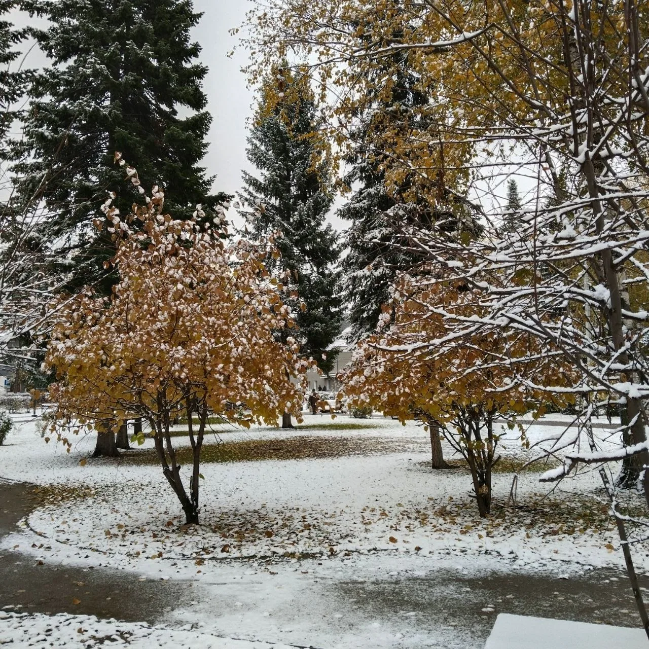 🌨❄️☃️