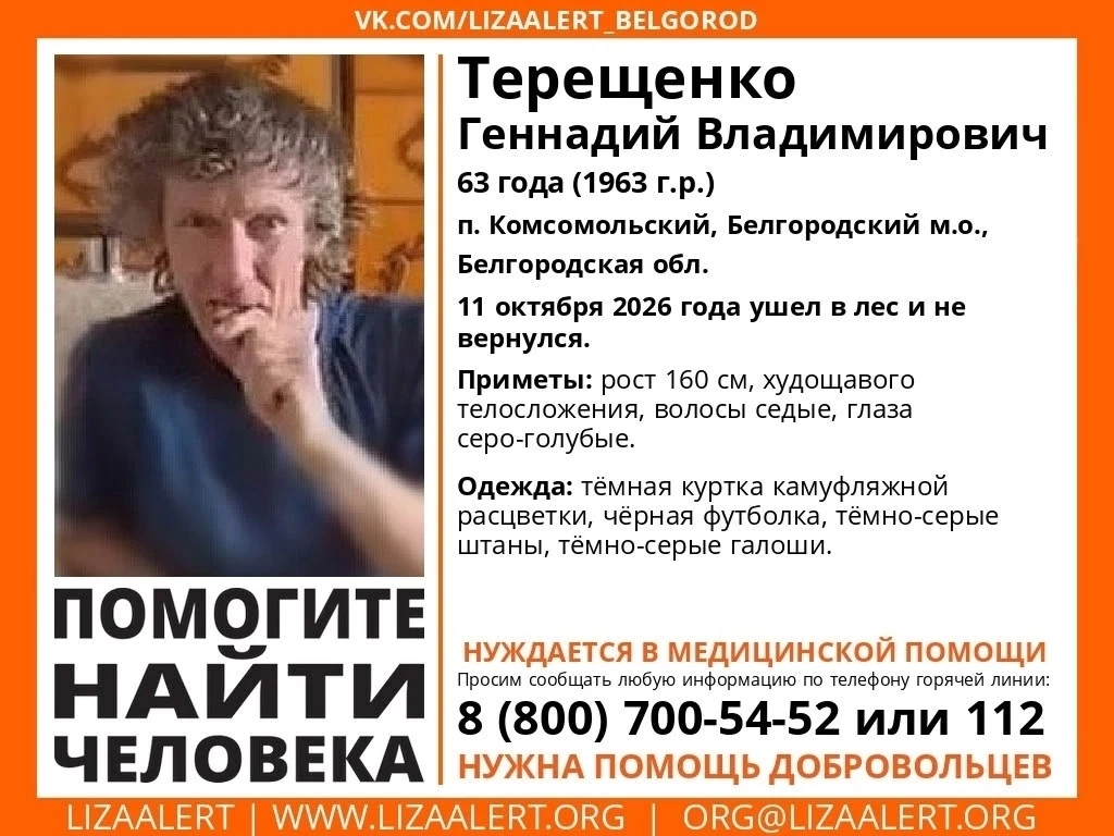 "Белгород новости" в Max: