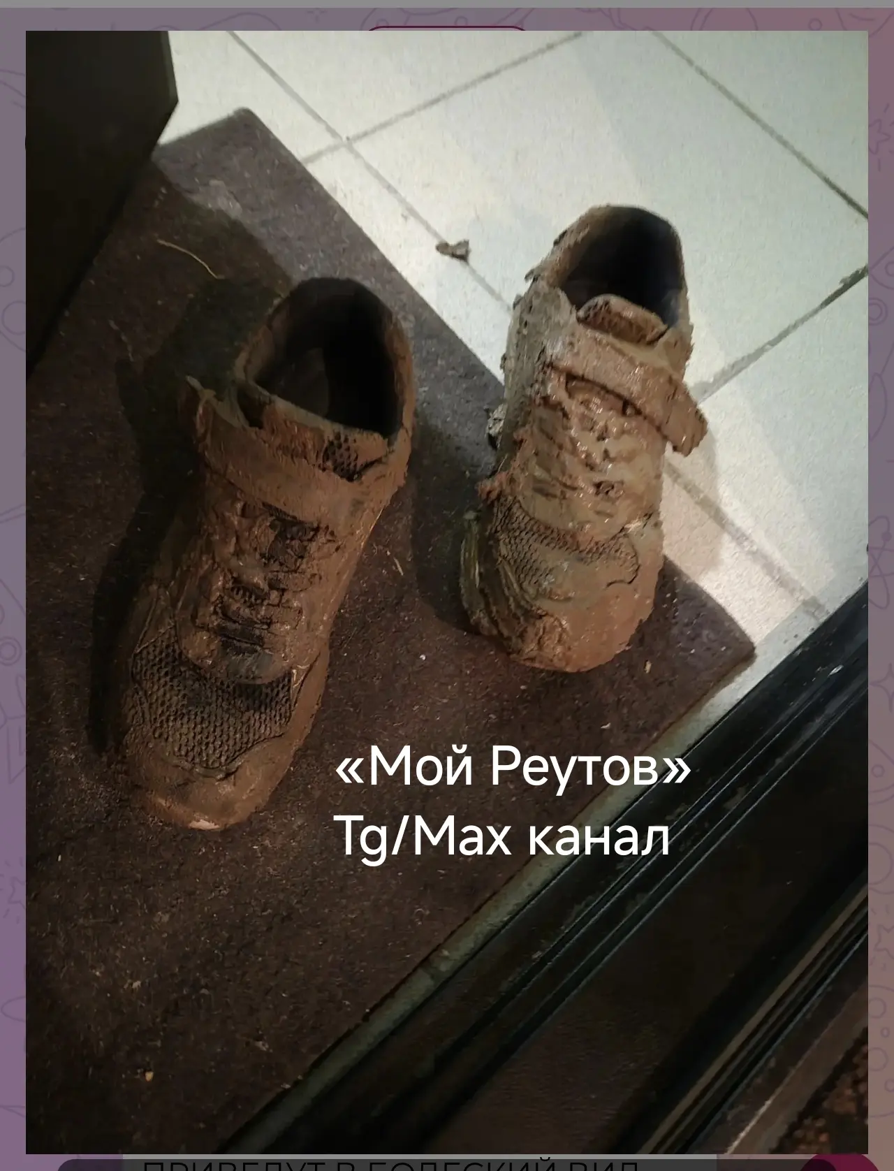 ‼️ Родители учеников школы №1 в Реутове публикуют фотографии состояния обуви, в которой...