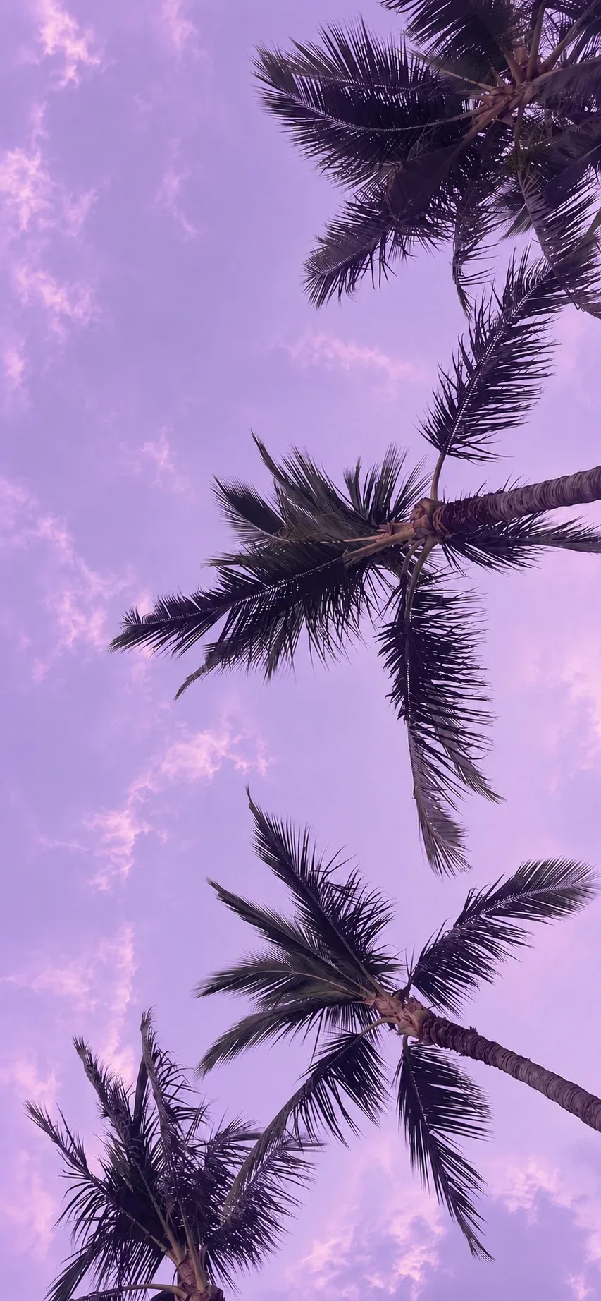 Обои в сиреневой эстетике 💜