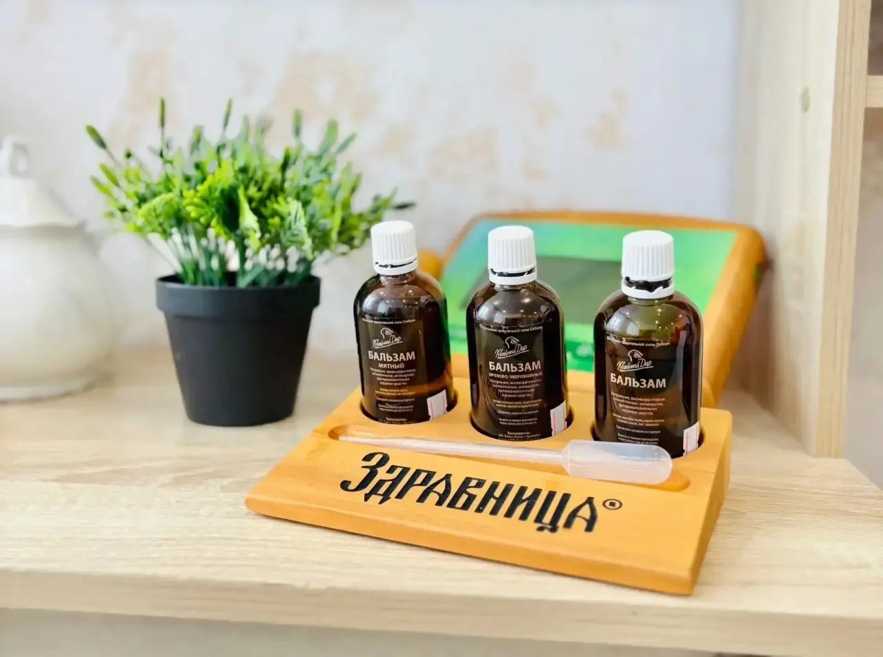 ✅✨ АРОМА-САУНА «ЗДРАВНИЦА» — ОСОБЫЙ ФОРМАТ ОЗДОРОВЛЕНИЯ ✨✅