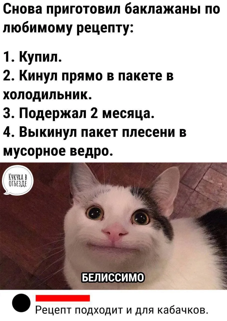 Кукуха в отъезде 🐦