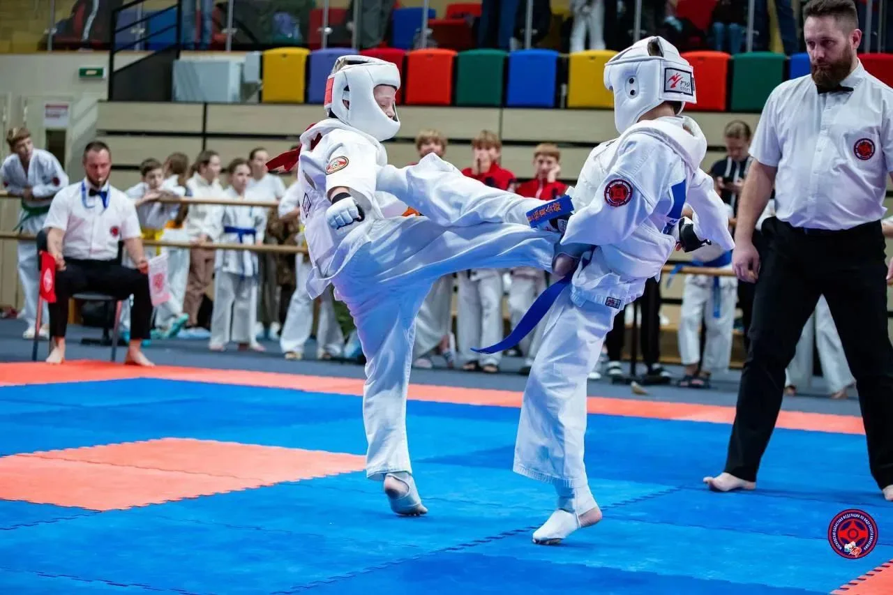 🏆 Чемпионат и Первенство Московской области по киокушин