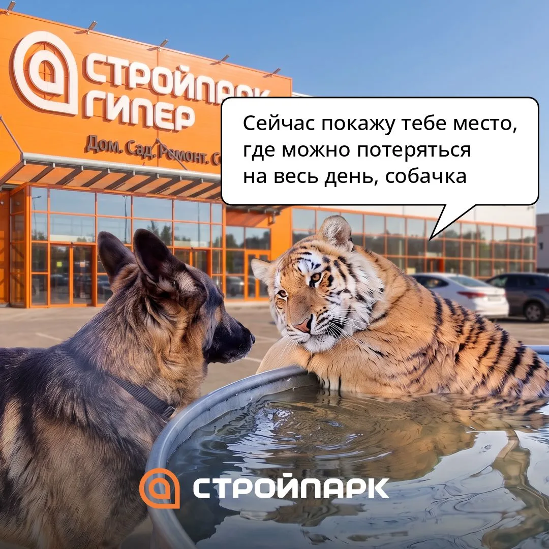 Не смогли пройти мимо тренда 😅