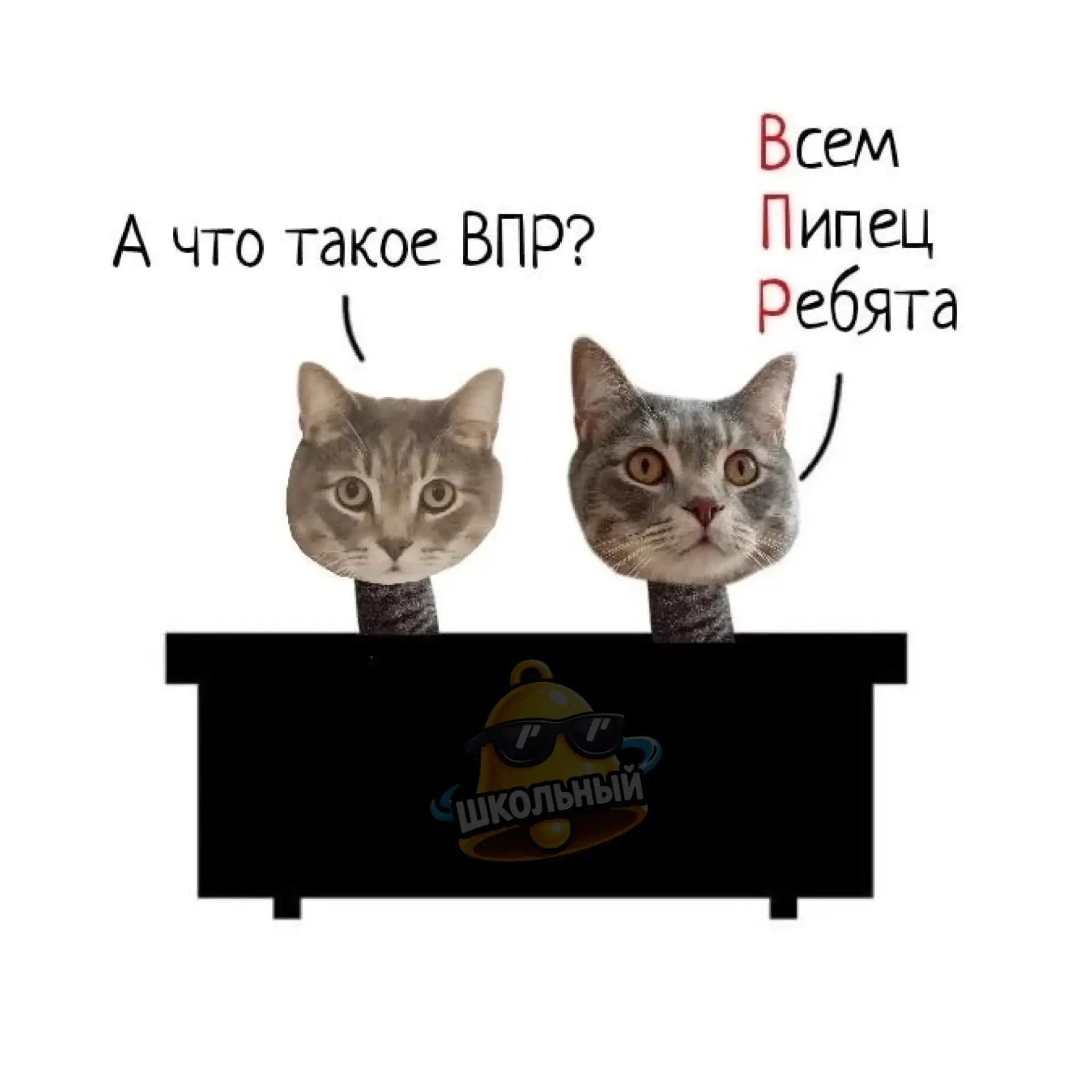 🥲ОЦЕНКИ ЗА ВПР ТЕПЕРЬ МОГУТ ПОПАСТЬ В ЖУРНАЛ