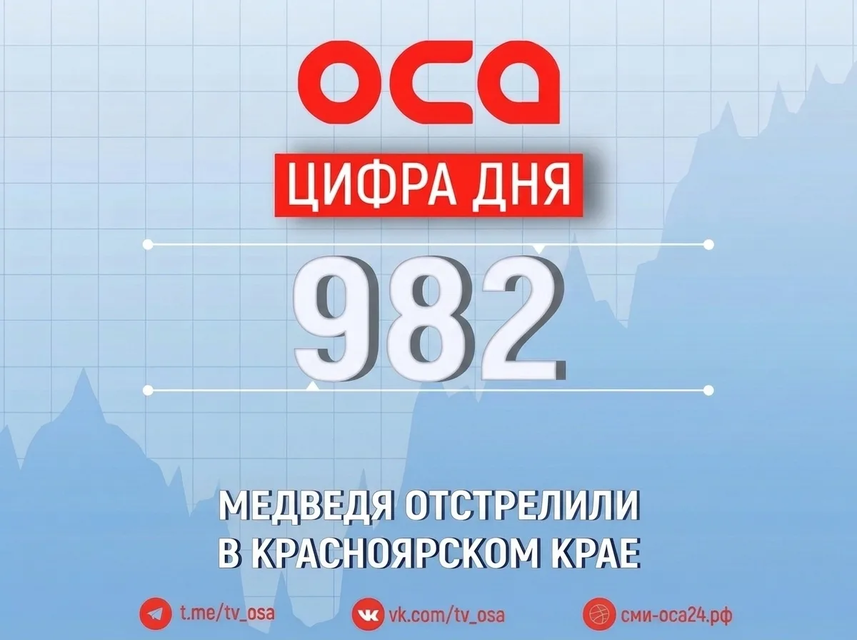 Почти тысячу бурых медведей отстрелили в Красноярском крае
