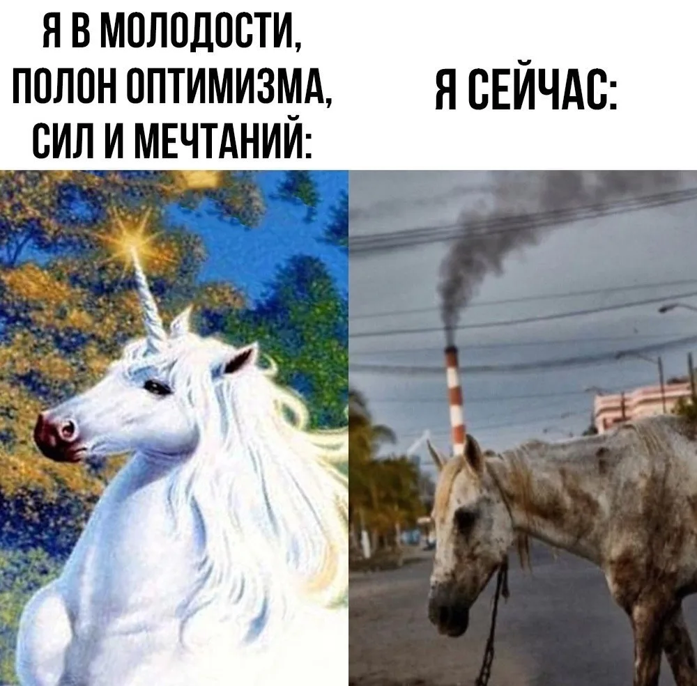 На досуге- для настроения