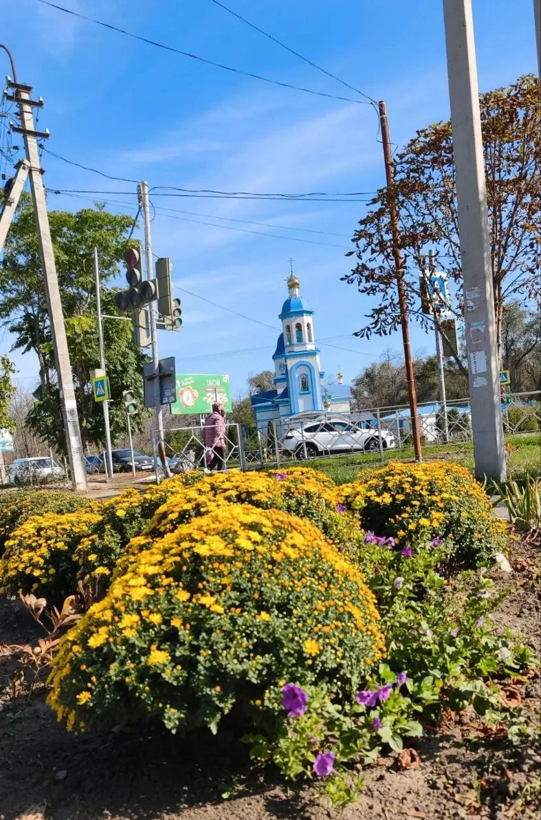 Краски осени.