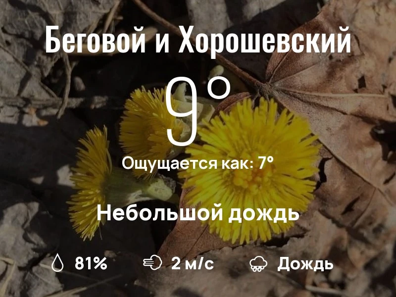 Что с погодой в Беговом и Хорошевском?