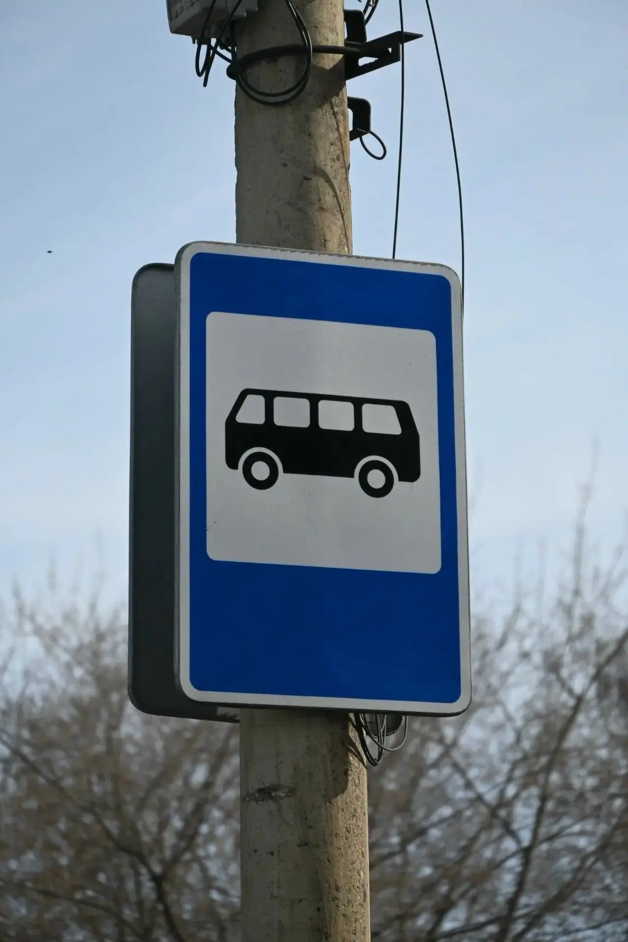 🚌 Автобусы