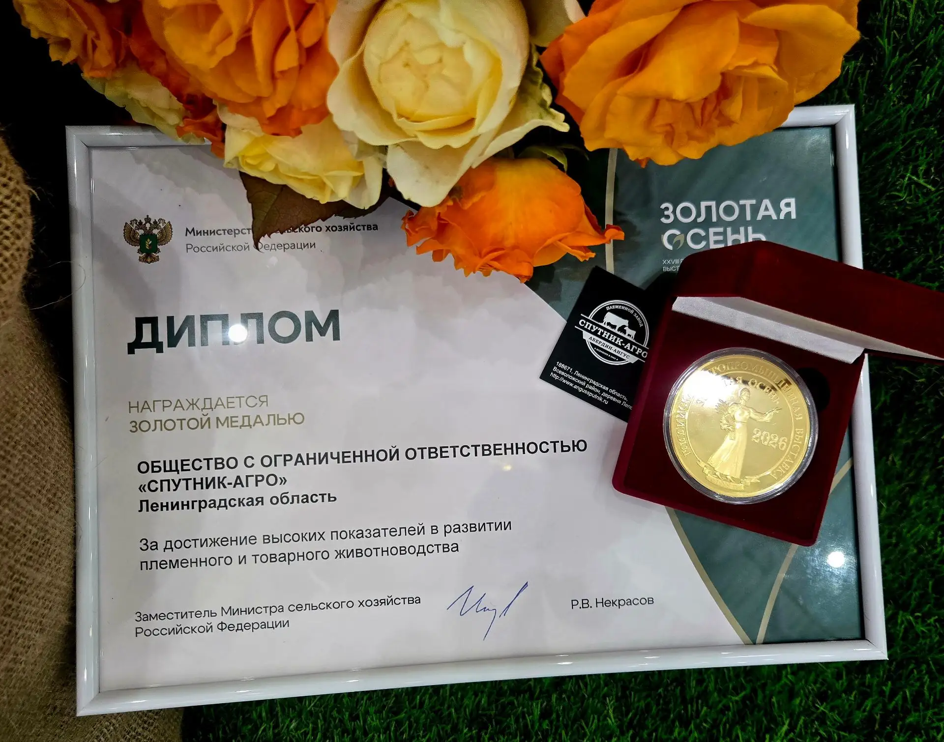 🏆 Золото «Золотой осени» у нас!