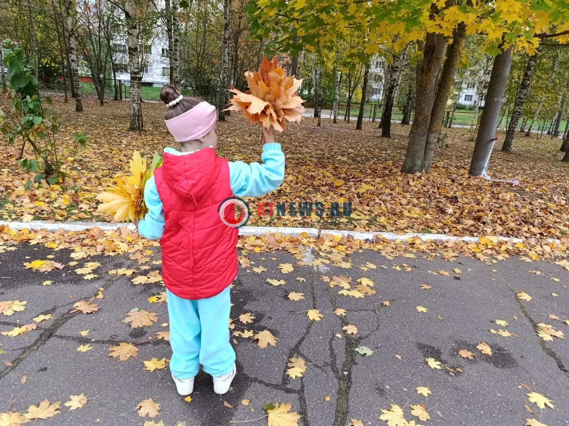 🍁 Прогноз погоды на выходные: костромичей снова ждут теплые деньки