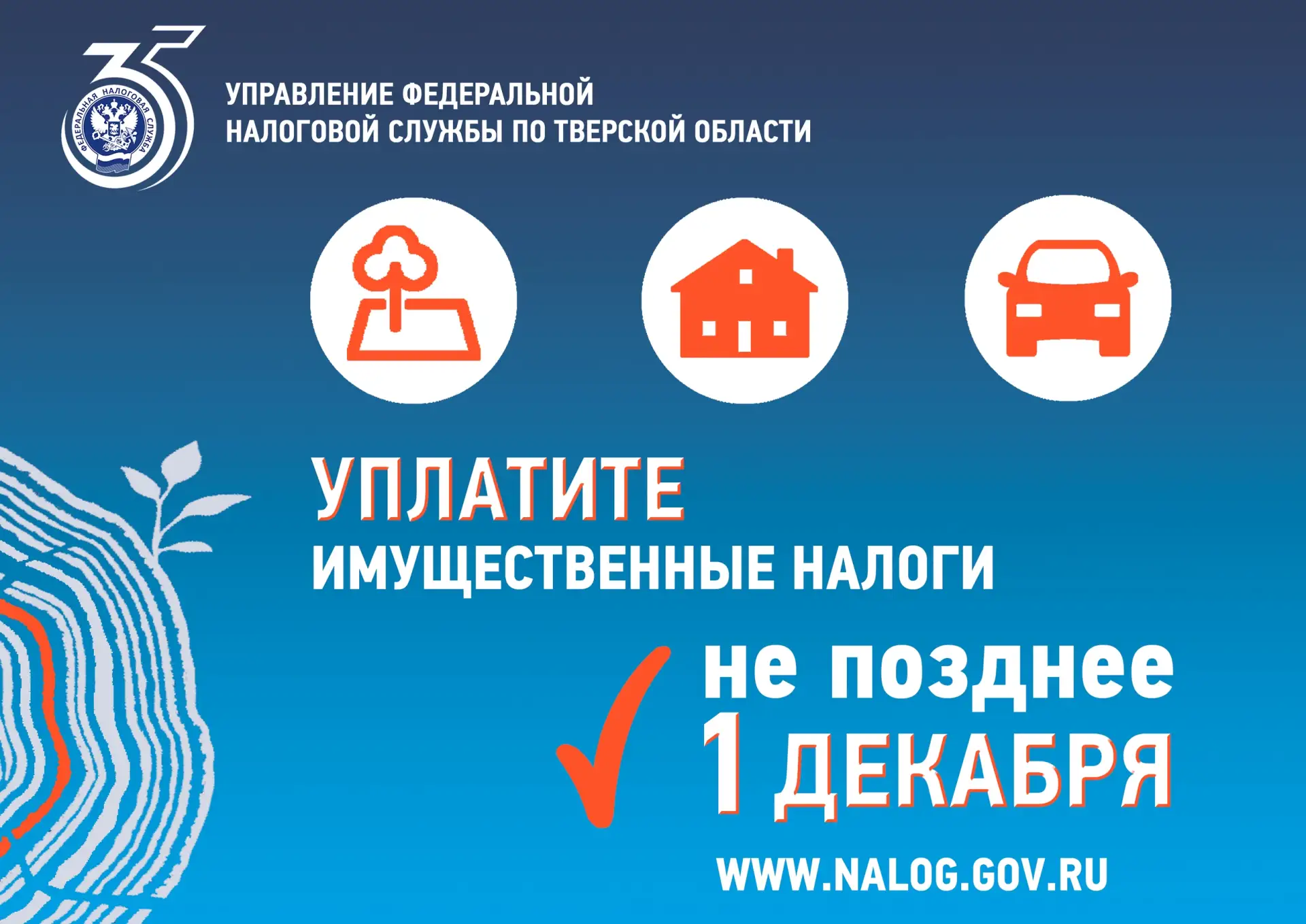 НАЛОГИ ФИЗИЧЕСКИХ ЛИЦ
