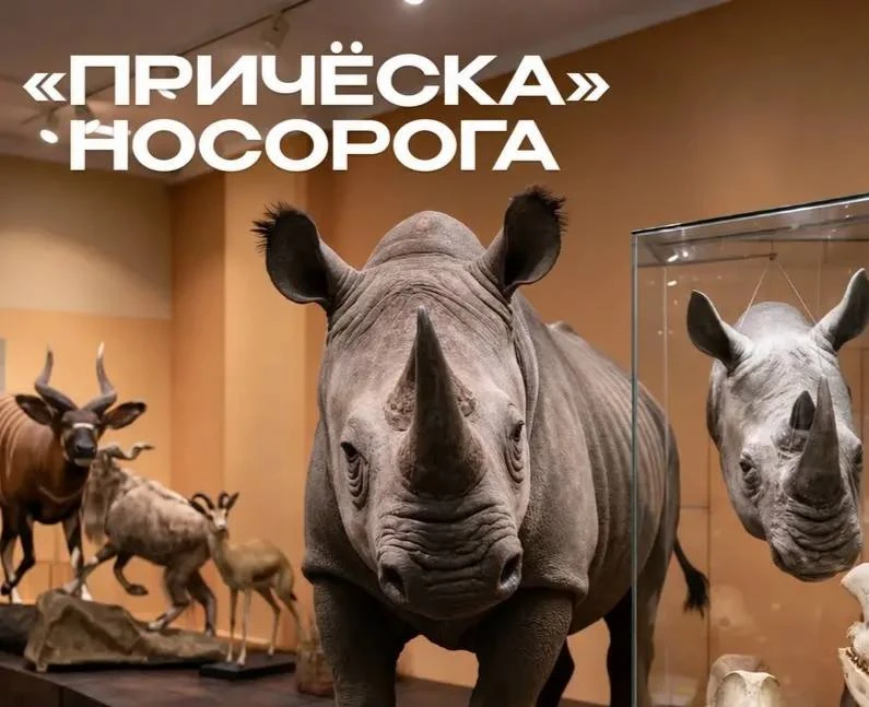 🎨 В Дарвиновском музее открылась выставка о кератине