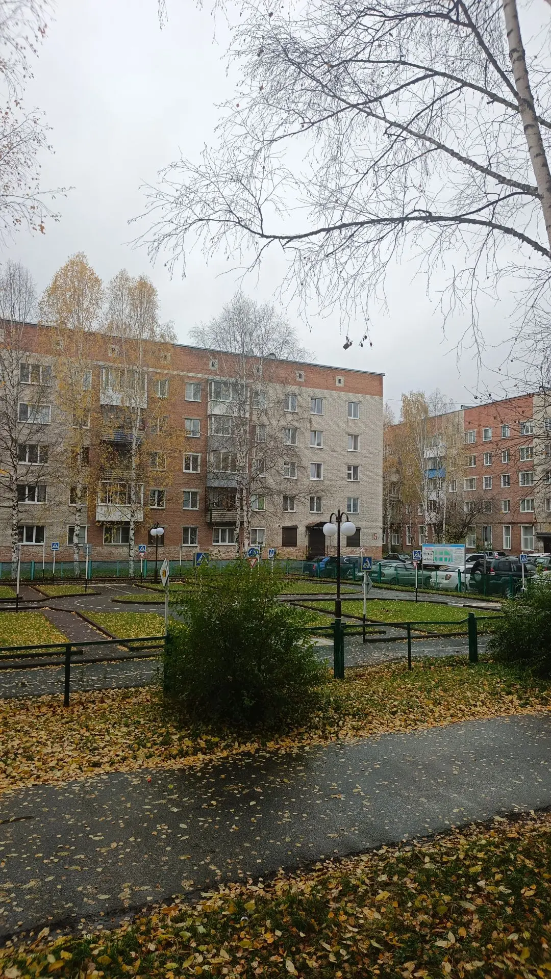 Скажите пожалуйста, а в какой момент берёзы решили обнажиться? 🤔 Я вообще не заметила,...