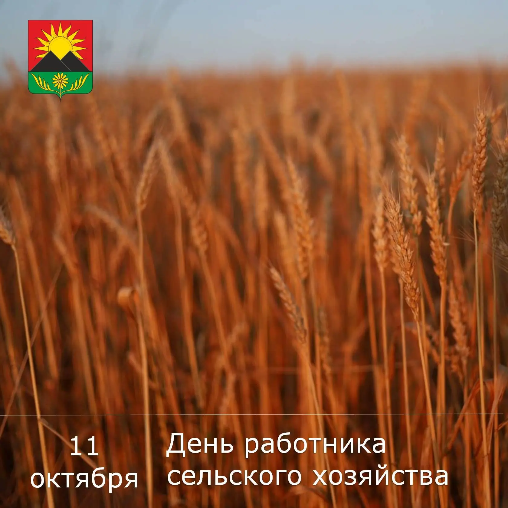 💐Сегодня от всей души поздравляю наших аграриев, животноводов, механизаторов, специали...