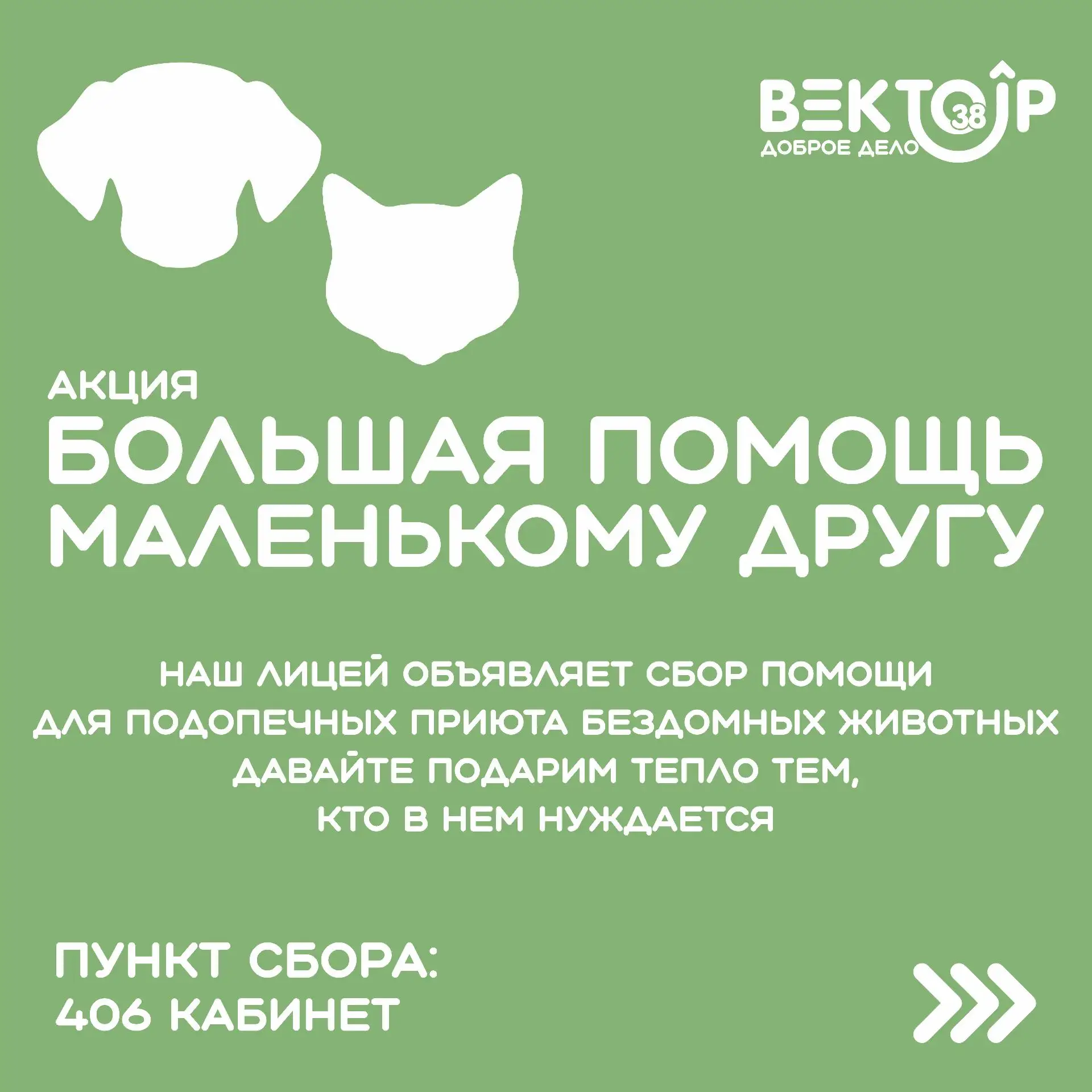 🐾Акция