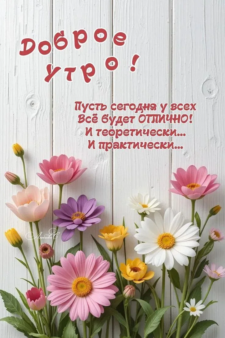 🌸🌿🌸🌿💜🌸🌿🌸🌿🌸