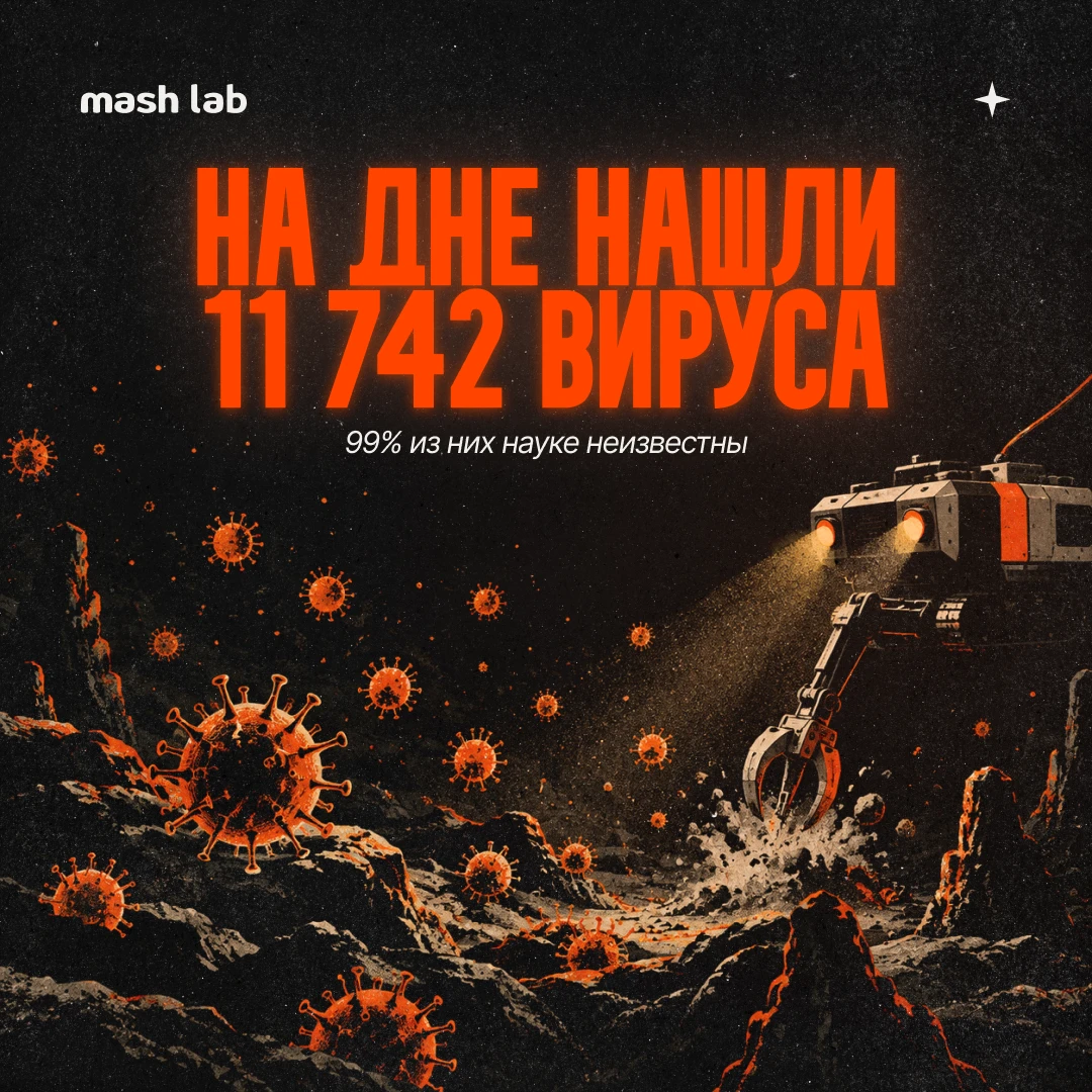 Ученые нашли 11 662 неизвестных вируса на дне океана. И нет, это не начало фильма ужасов.