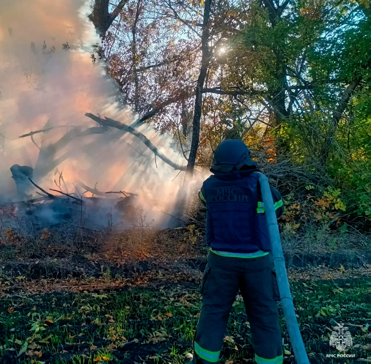 🚒Оперативная информация за сутки
