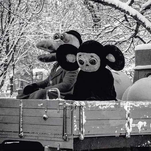 #чтениенаночь