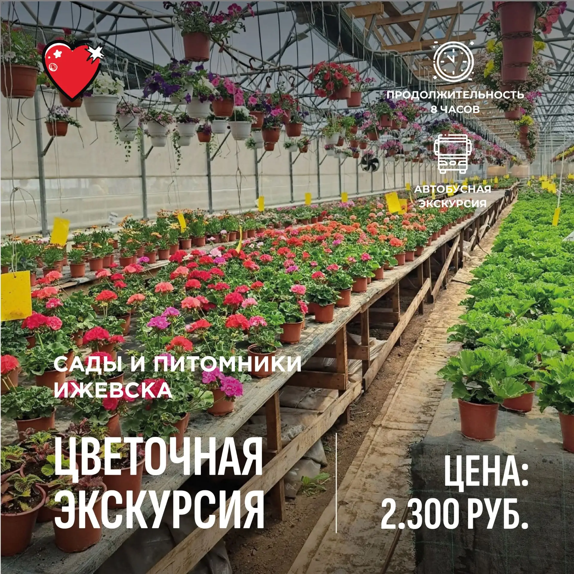 📍Информация для учителей и родителей