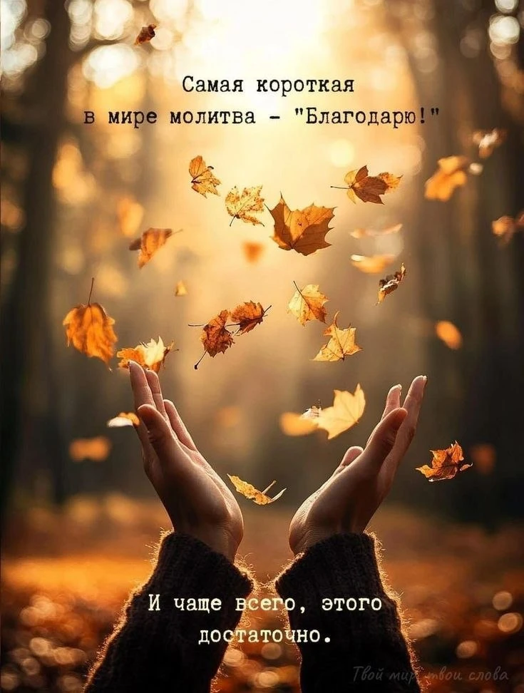 🍁 Доброе утро, мои дорогие! ☀️